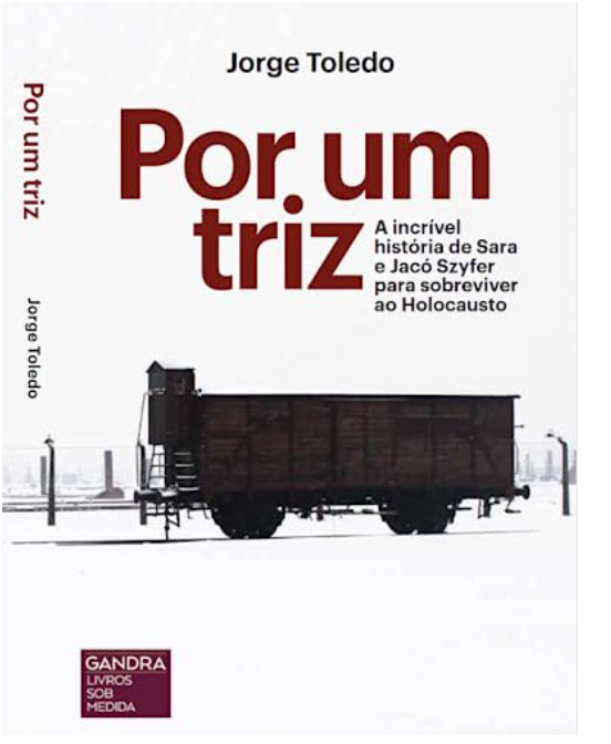 Capa do livro Por um triz
