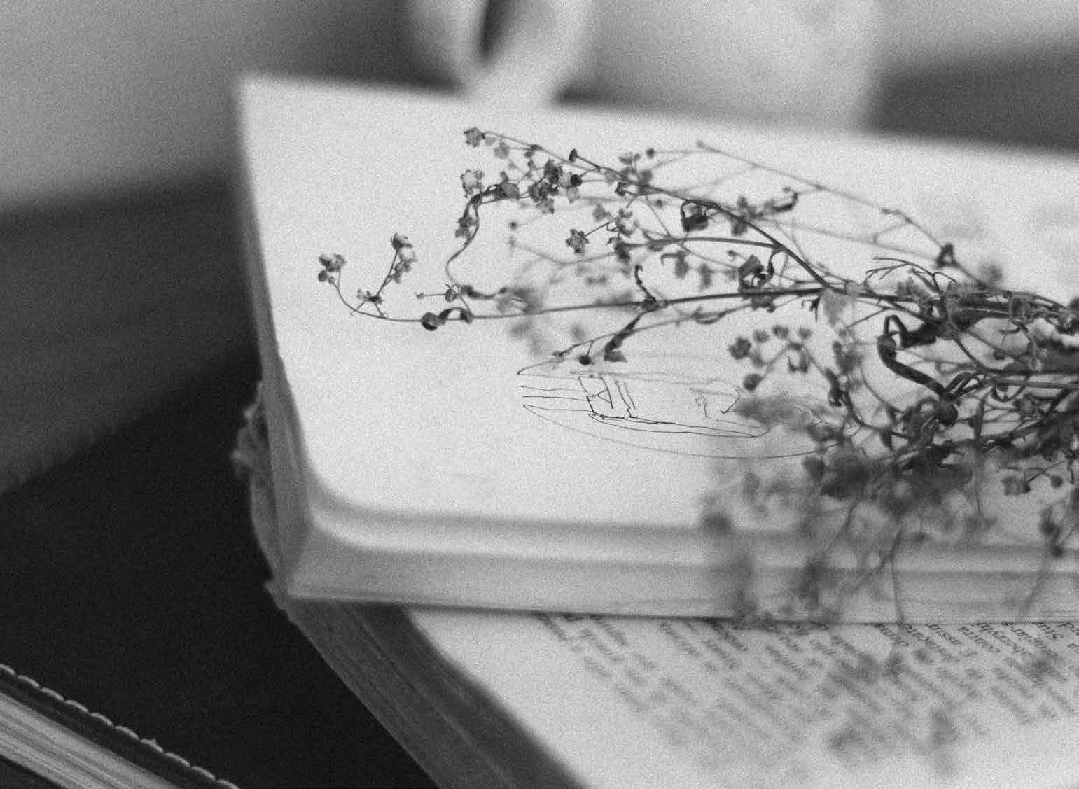Livro aberto sobre uma mesa com um ramo de flores secas por cima