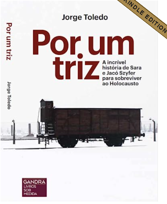 Cover of the Portuguese e-book Por um triz