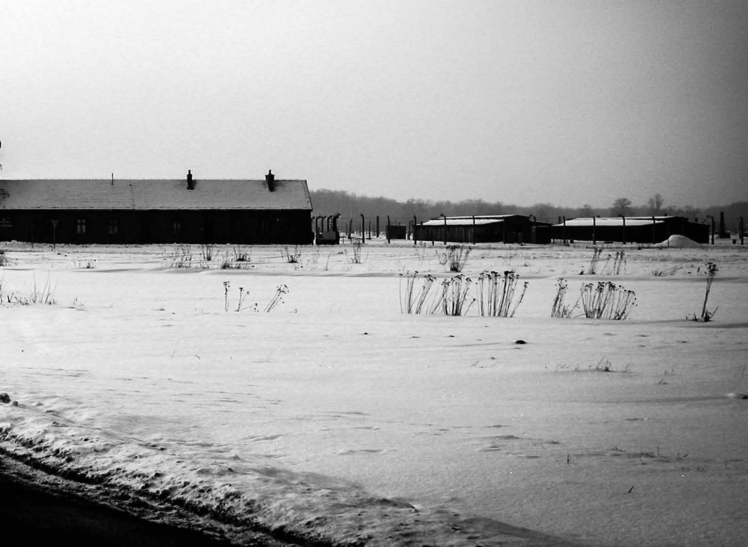 Inverno no campo